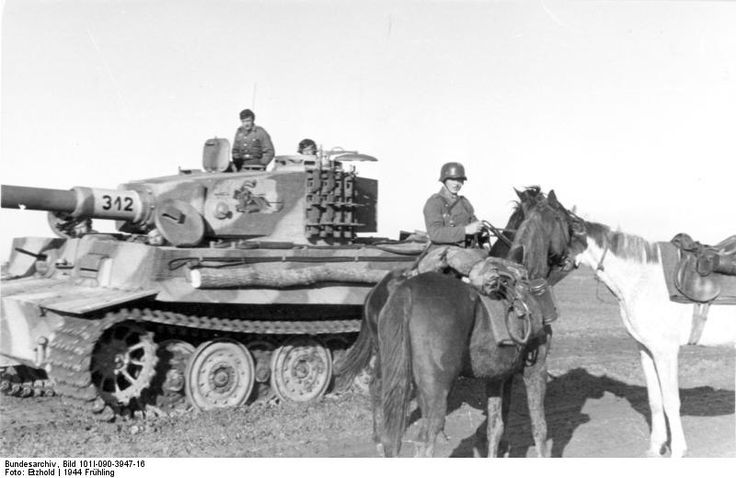 Image result for tiger eastern front